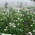 2010-03-07 陽明山 苗榜&White House