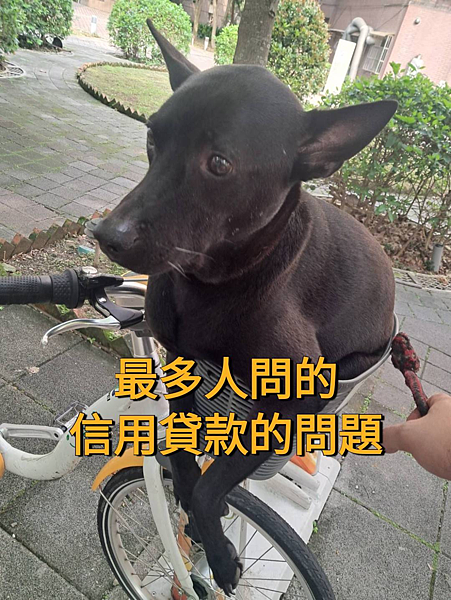 最多人問的信用貸款問題