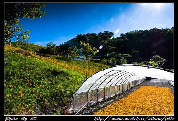 包山包海包曬傷005.jpg