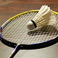 YONEX NS-9000S.jpg