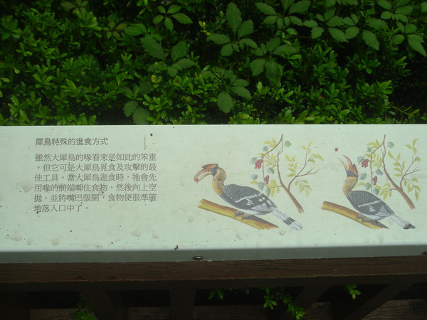 DSC05497.JPG
