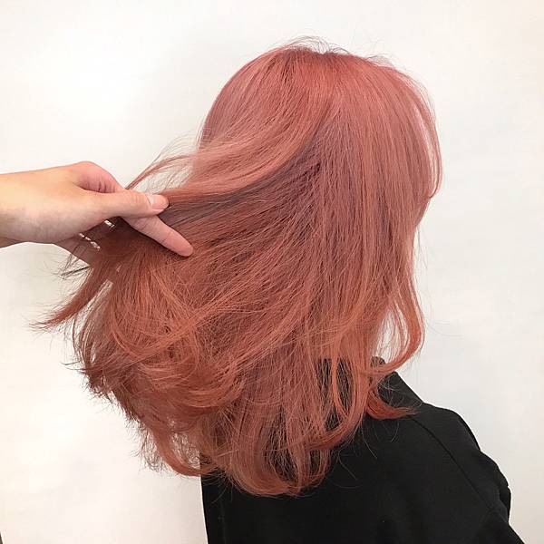 S__49971257 S__49971257