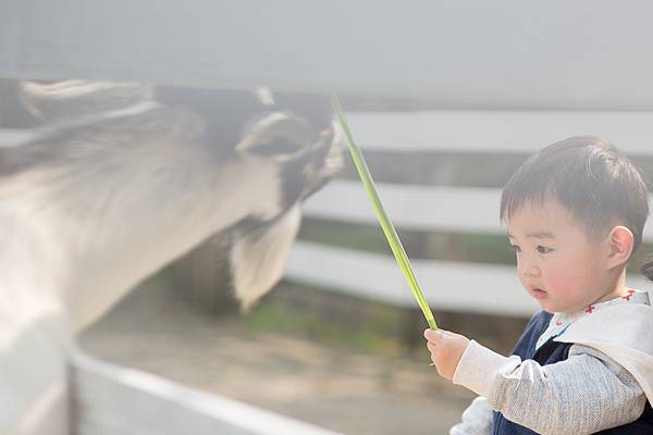 桃園親子寫真兒童攝影 三峽皇后鎮森林小檔0051.jpg