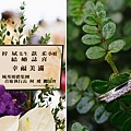 台北婚禮攝影 婚禮紀錄 南京東路禮拜堂證婚-44.jpg