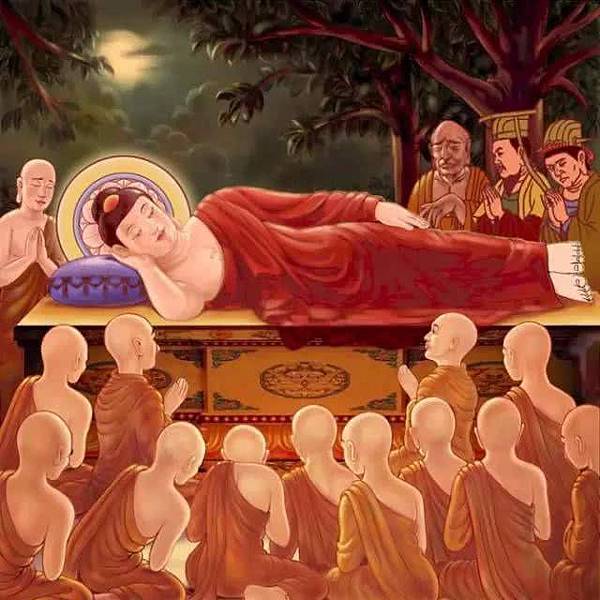 70561531219909 70561531219909