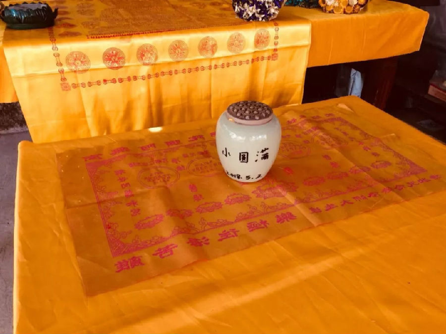 15583411737056 15583411737056