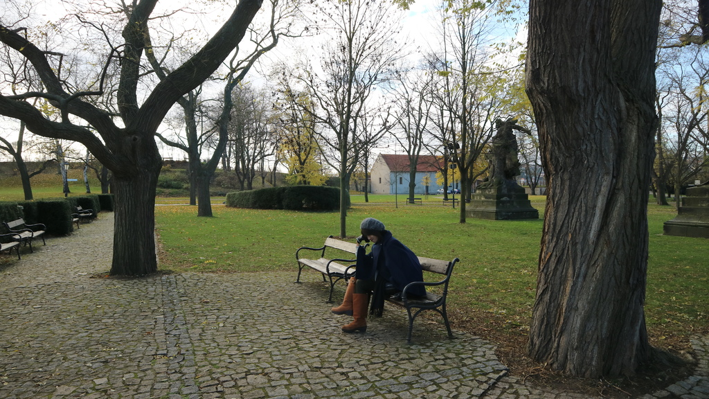 20171119 (38) 高堡 (Vysehrad) [布拉格(Prague)].JPG