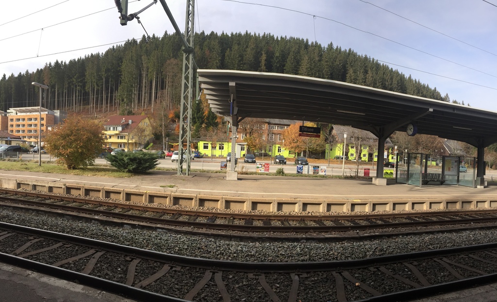 20161104 (45) Titisee-Neustadt 蒂蒂湖新城車站下車前往蒂蒂湖途中.JPG