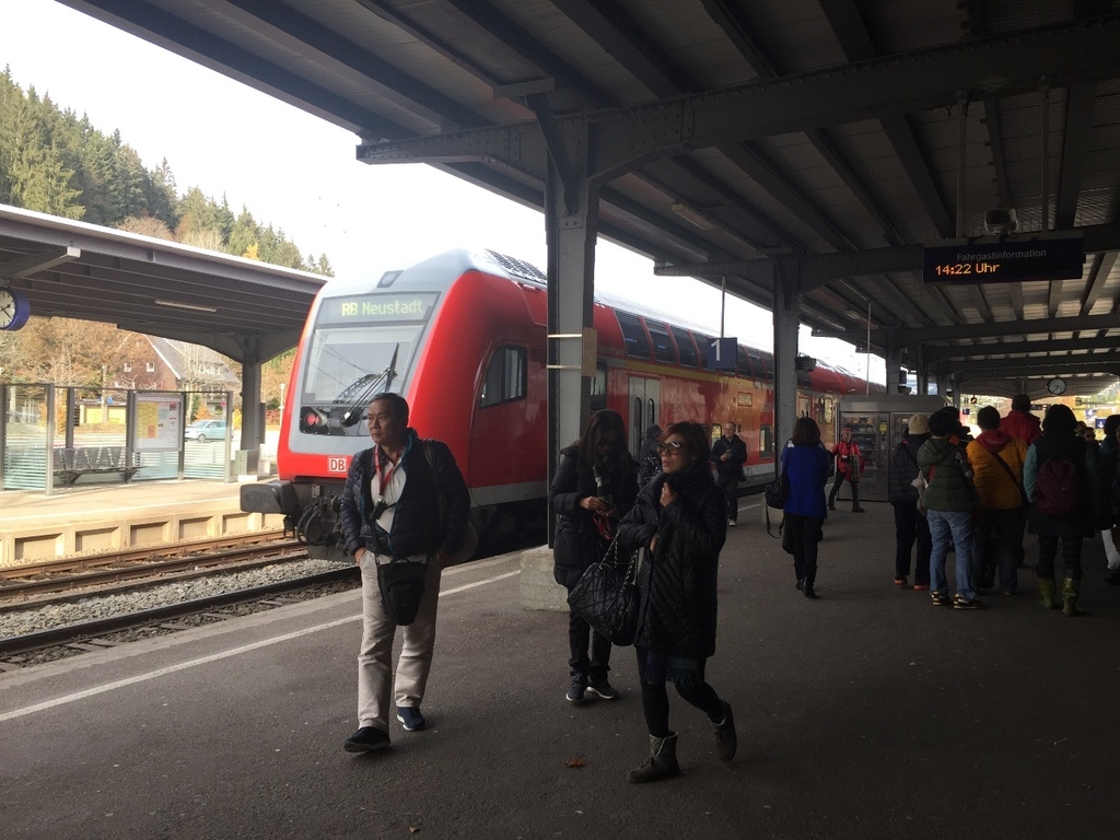 20161104 (47) Titisee-Neustadt 蒂蒂湖新城車站下車前往蒂蒂湖途中.JPG