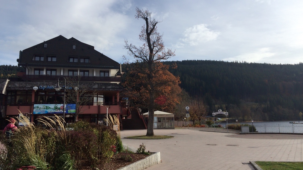 20161104 (49) Titisee 蒂蒂湖.JPG