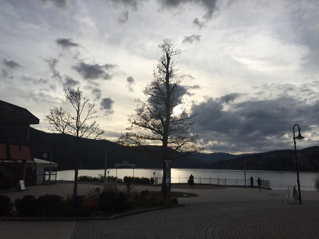 20161104 (90) Titisee 蒂蒂湖附近.JPG