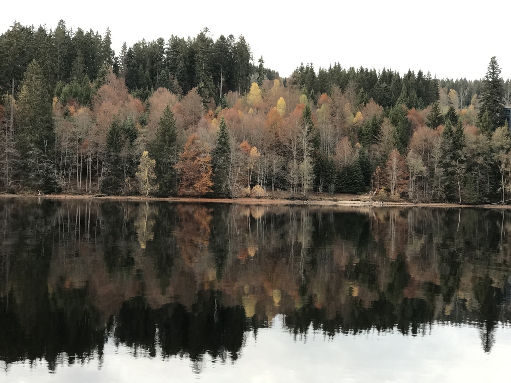 20161104 (53) Titisee 蒂蒂湖.JPG