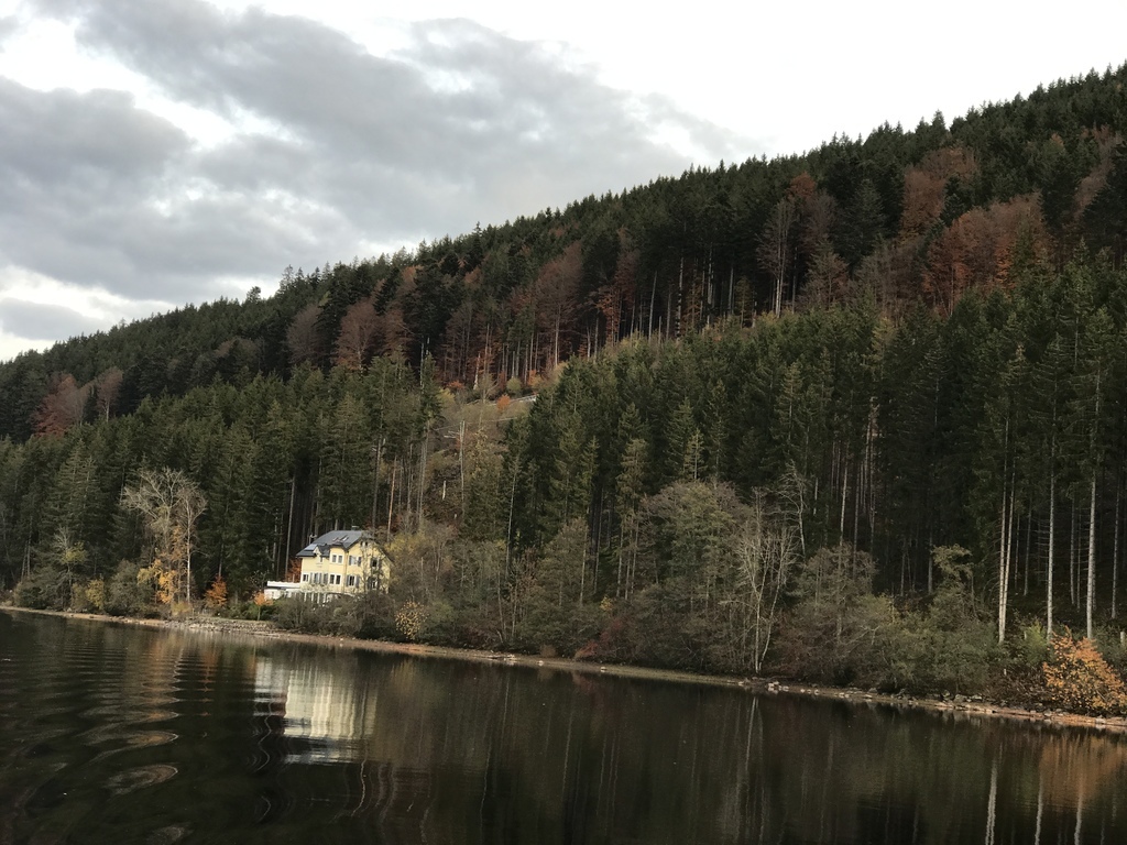 20161104 (55) Titisee 蒂蒂湖.JPG