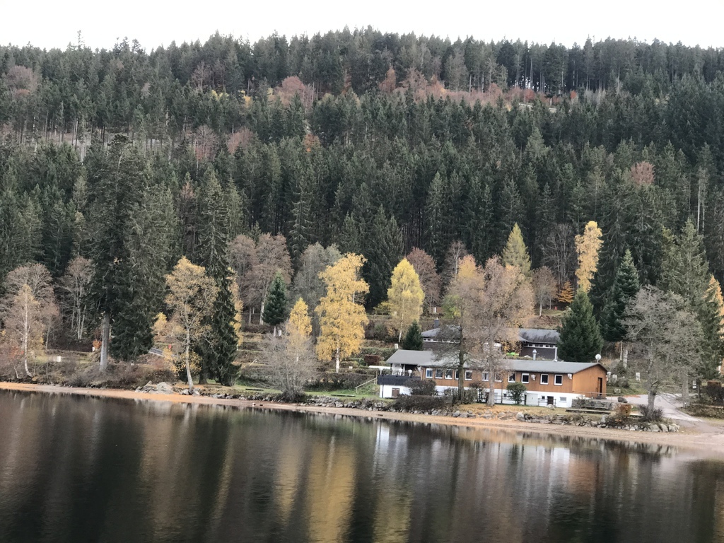 20161104 (62) Titisee 蒂蒂湖.JPG