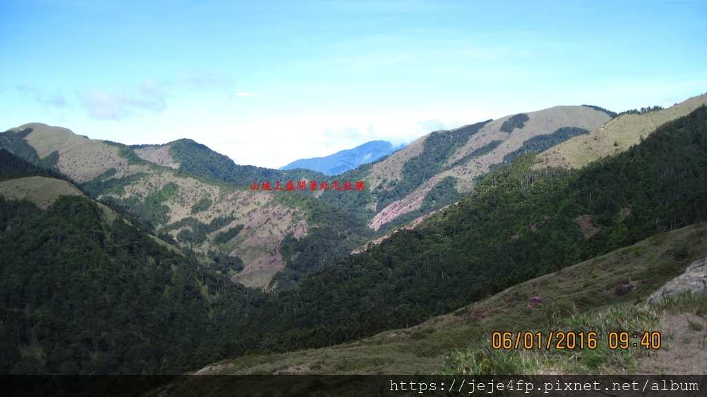 20160601 (129A) 由合歡山北峰登山步道 0.6-0.7km之間眺望.JPG