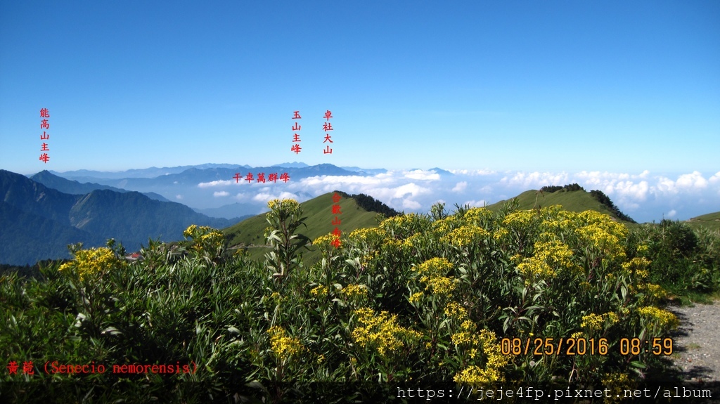 20160825 (34A) 由台甲公路31.4km處(武嶺觀景台)眺望群峰.JPG