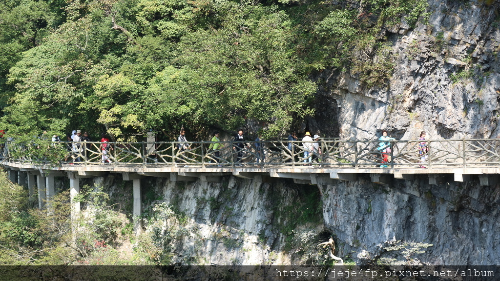 20190924 (310) 吊索神峪棧道 [天門山國家森林公園].JPG