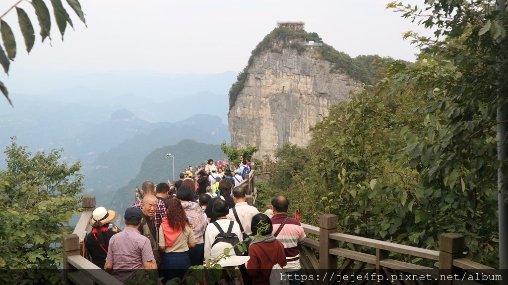 20190924 (446) 天門山國家森林公園.JPG