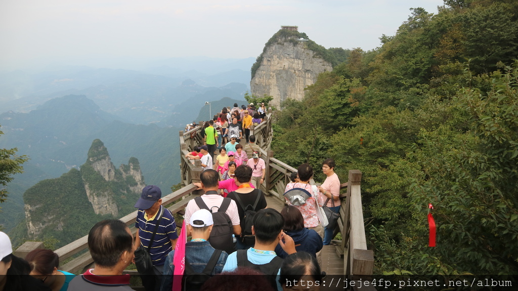 20190924 (450) 天門山國家森林公園.JPG