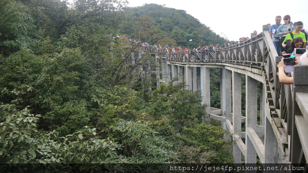 20190924 (484) 天門山國家森林公園.JPG