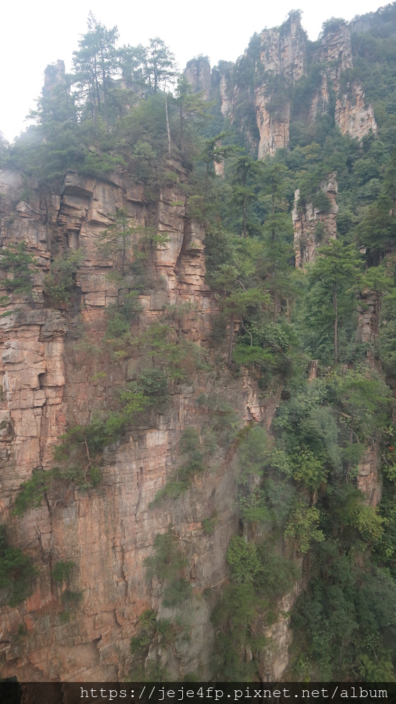 20190925 (100) 搭乘天子山索道上山途中.JPG