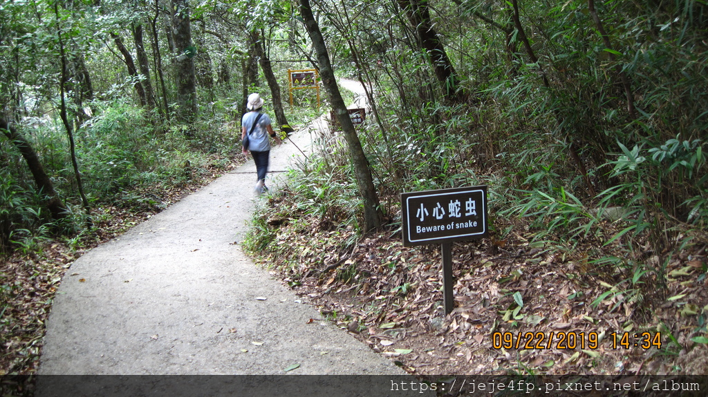 20190922 (176) 將軍寨風景區 [莽山國家森林公園].JPG