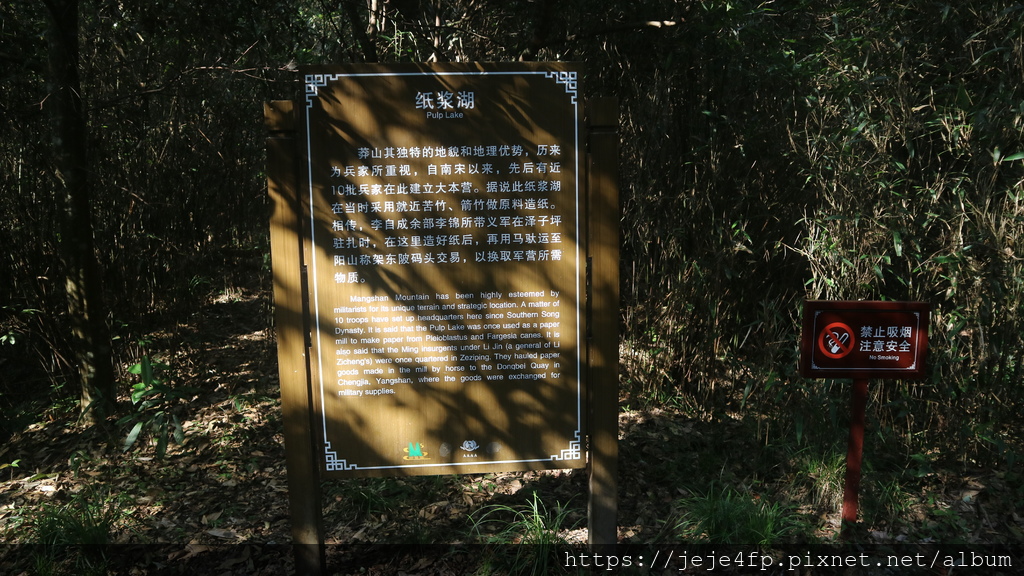 20190922 (198) 將軍寨風景區 [莽山國家森林公園].JPG