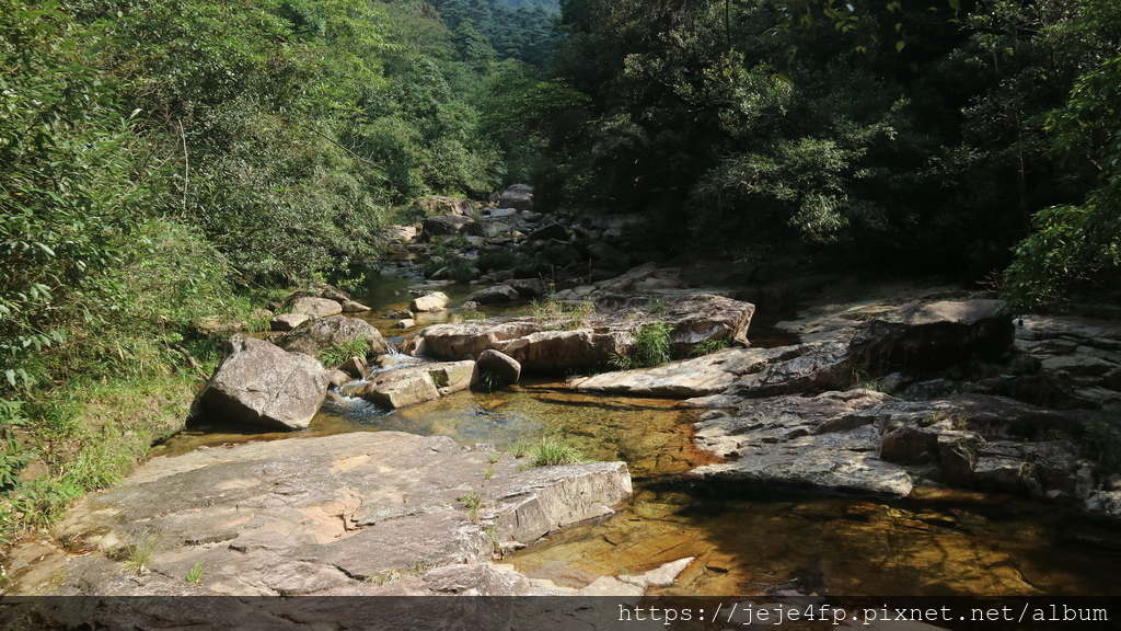 20190922 (188) 將軍寨風景區 [莽山國家森林公園].JPG