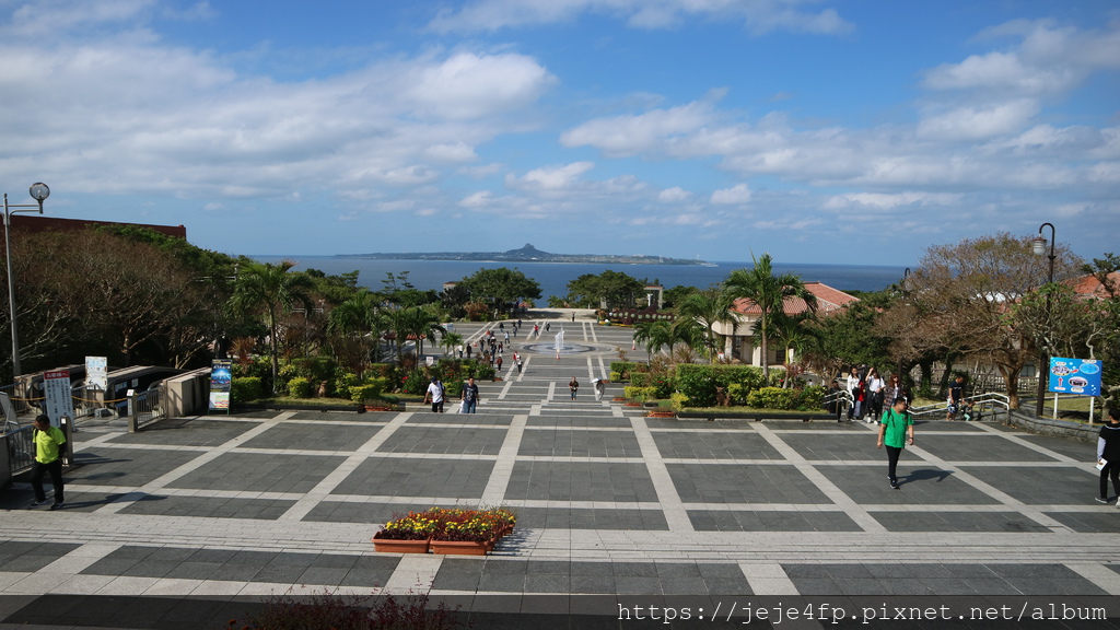 20191127 (920) 美麗海水族館 [沖繩海洋博公園(Oki park)].jpg