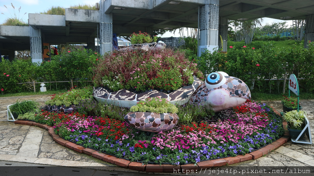 20191127 (115) 沖繩海洋博公園(Oki park).jpg