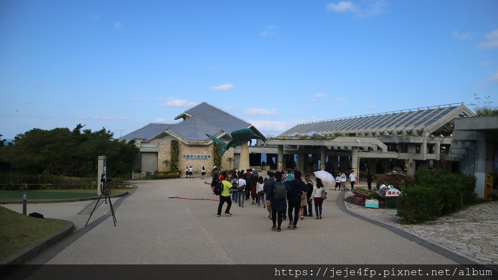 20191127 (110) 沖繩海洋博公園(Oki park).jpg