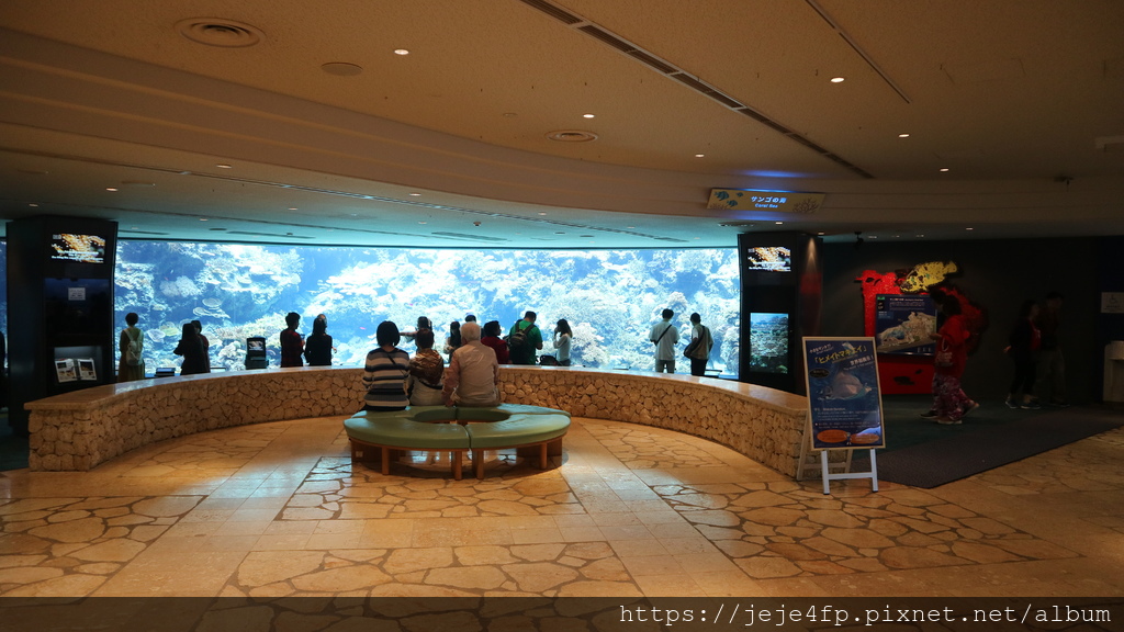 20191127 (315) 美麗海水族館 [沖繩海洋博公園(Oki park)].jpg