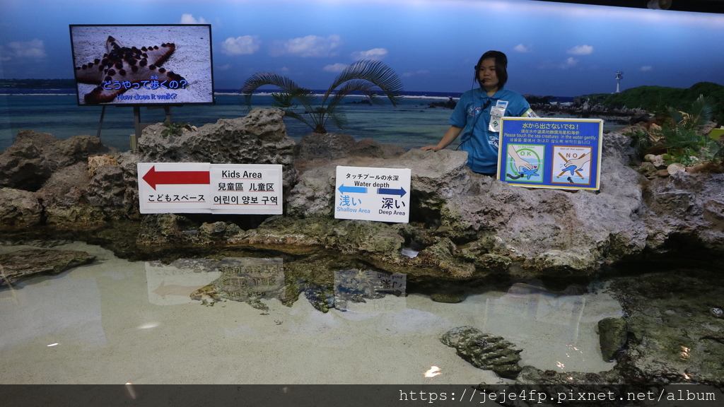 20191127 (345) 美麗海水族館 [沖繩海洋博公園(Oki park)].jpg