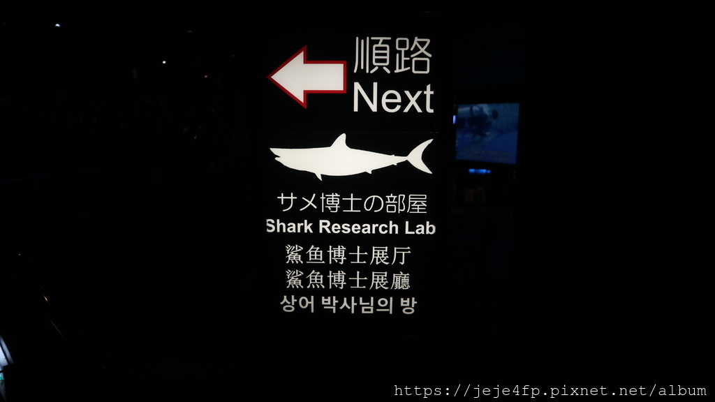 20191127 (800) 美麗海水族館 [沖繩海洋博公園(Oki park)].jpg