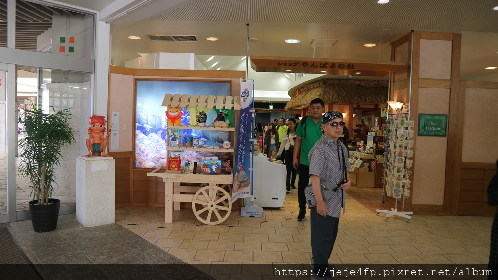 20191127 (910) 美麗海水族館 [沖繩海洋博公園(Oki park)].jpg