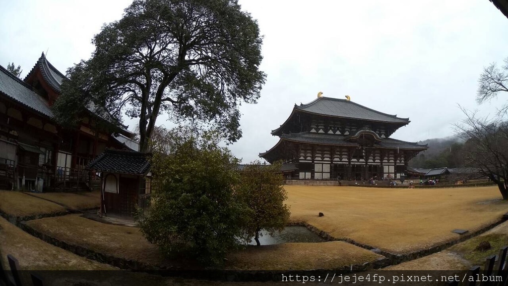 20160309 (22) 大阪 [東大寺].JPG