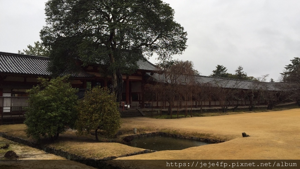 20160309 (21) 大阪 [東大寺].JPG