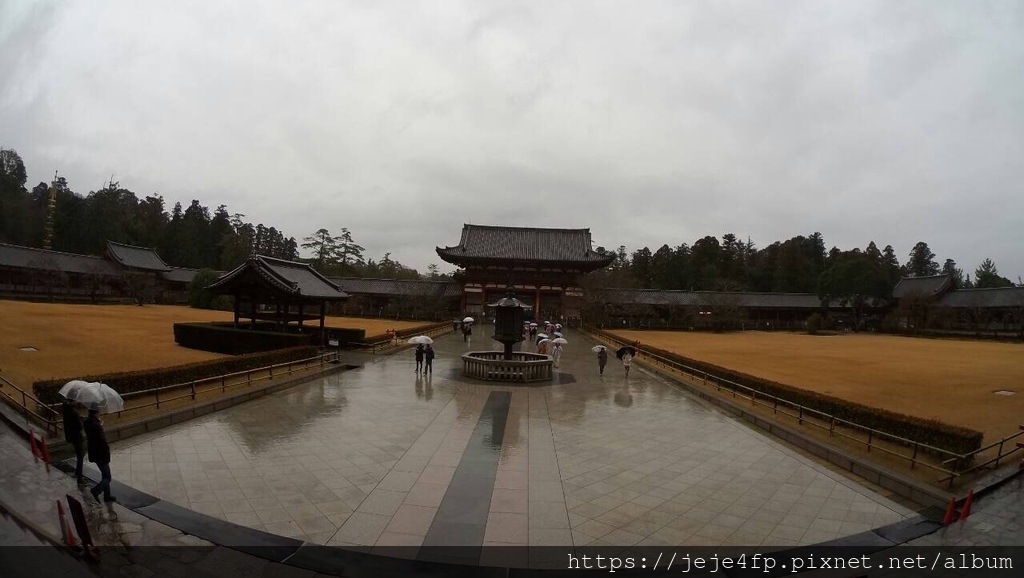 20160309 (19) 大阪 [東大寺].JPG