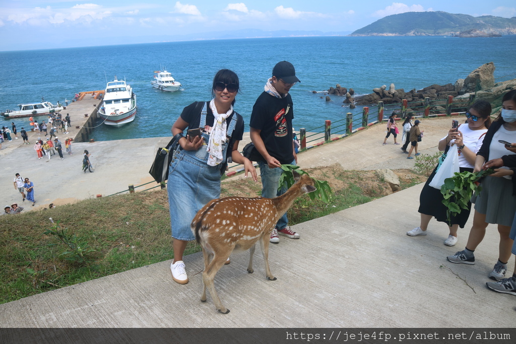 20200830 (480) 大坵島.JPG