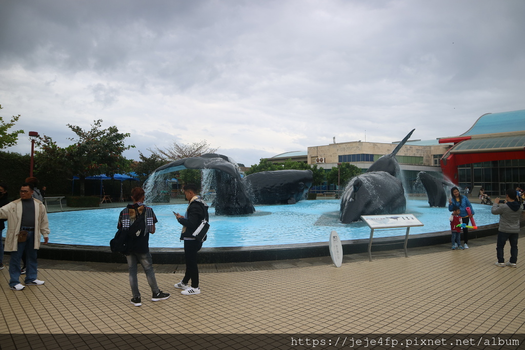 20200125 (80) 鯨魚親水廣場 [國立海洋生物博物館].JPG