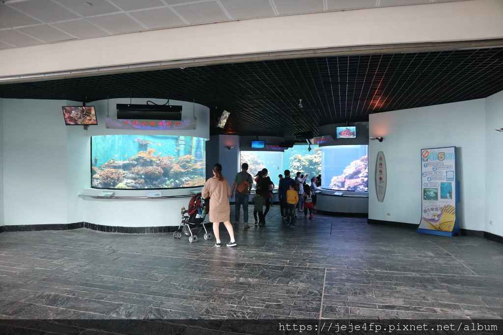 20200125 (180) 國立海洋生物博物館.JPG