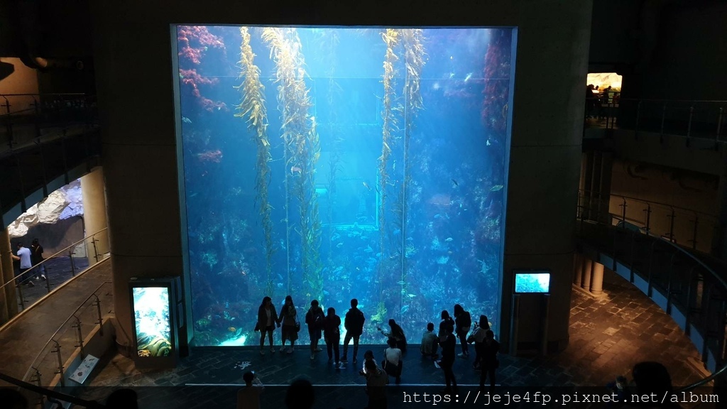 20200125 (1310)  世界水域館.jpg