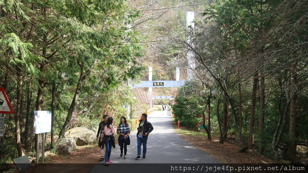 20170129 (112) 武陵農場武陵路1.4km處 [兆豐橋].JPG