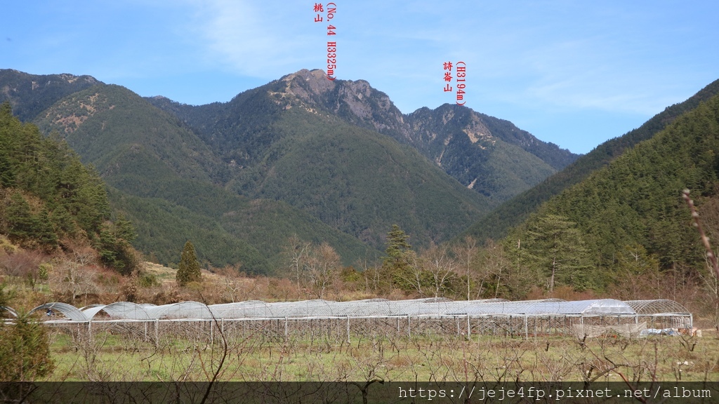 20170129 (135A) 由武陵農場桃子園眺望.JPG