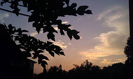 IMAG1714_副本 IMAG1714_副本