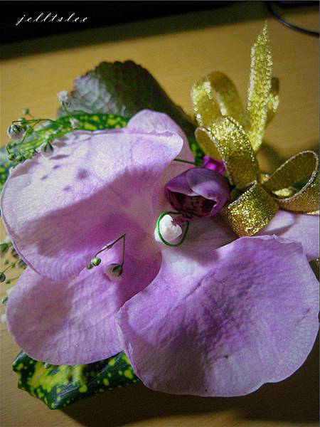 IMG_9010_副本.jpg IMG_9010_副本.jpg