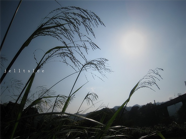 img_0317_副本.jpg img_0317_副本.jpg