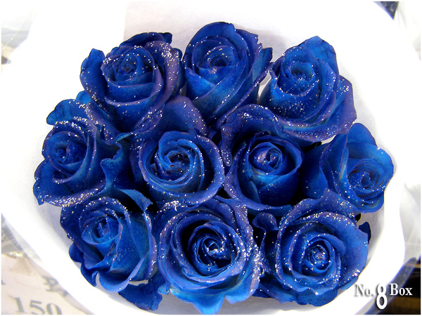 藍色玫瑰花