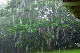 imagesにわか雨