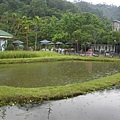 98.07.27動物園 (22).JPG